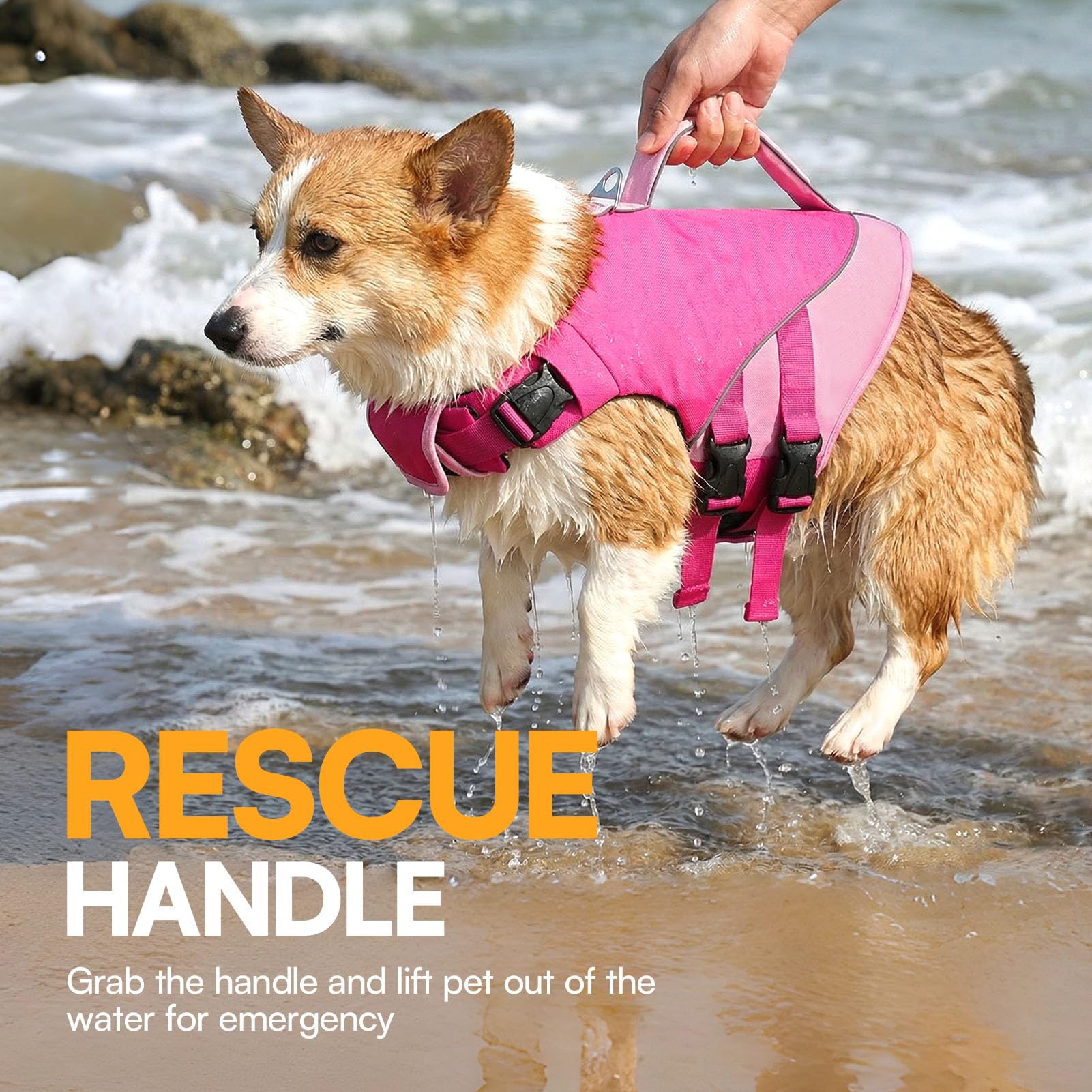 Queenmore Small Dog Life Jacket, Dog Life Vest for Swimming Boating, Puppy Swim Vest for Small Dogs, Ripstop High Visible Pet Water Vests with Strong Rescue Handle, Pink S - 4