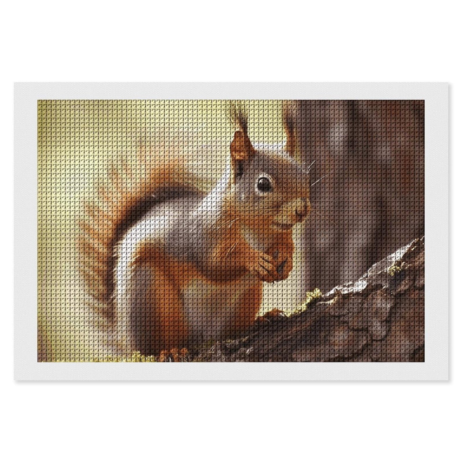 NONHAI Diamond Painting Kits for Adults - DIY Diamond Art Kits for Beginners - Full 5D Paint Drill Diamond Dots Paintings- Funny Squirrel Diamonds Pictures Gem Art and Craft Wall Decor 8"x12"