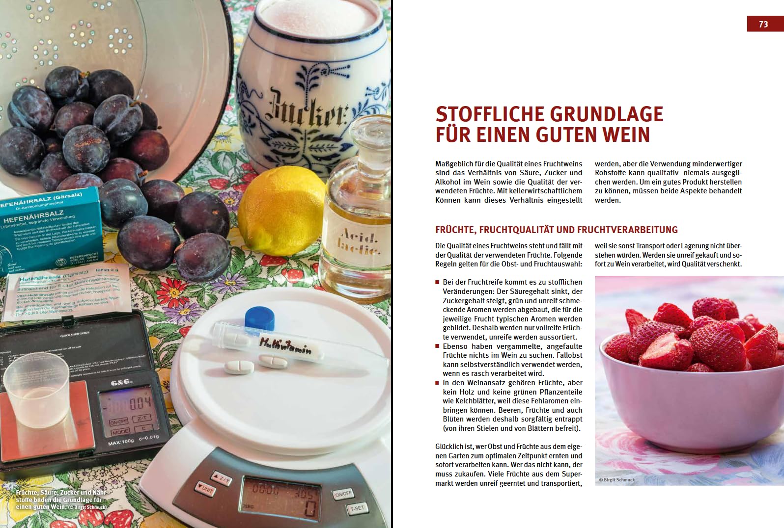 Craft Wine selbst gemacht: Das große Buch der Fruchtweinbereitung