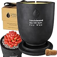 Matani Black Sandalwood Concrete Candle Planter - Dual Purpose Soy Wax Jar for Aromatherapy & Succulents Gift