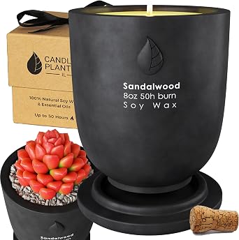 Matani Concrete Cement Candle Planter - Aromatherapy Soy, Dual Purpose Jar Gift Black Sandalwood