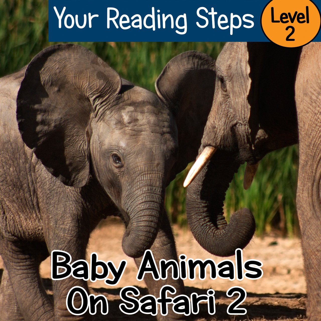 Baby Animals On Safari 2. Your Reading Steps, Level 2