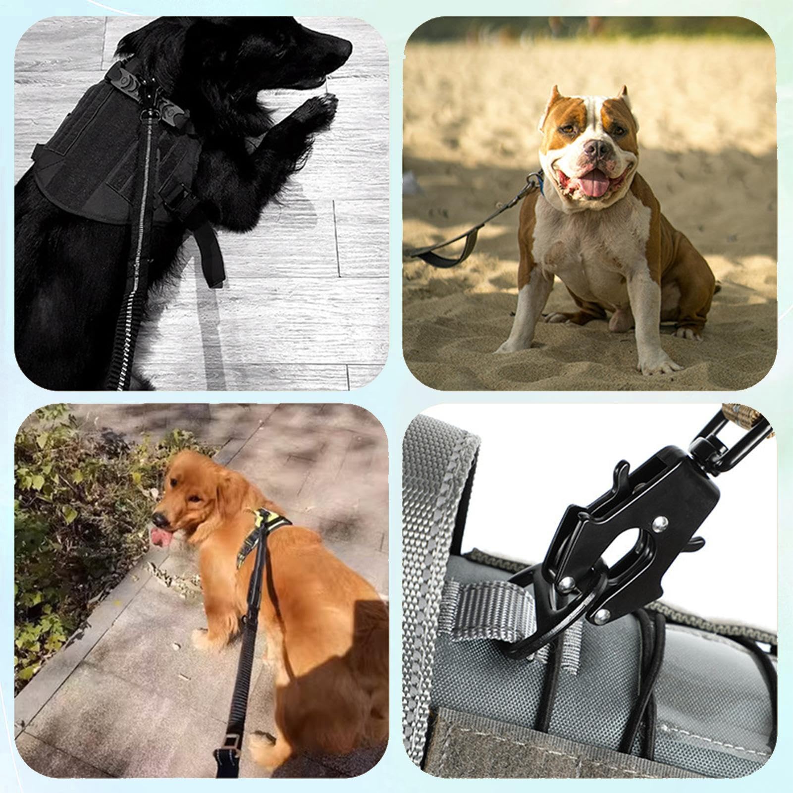 Clip De Laisse Pour Chien, Pivotant à 360 Degrés - Boucle En Métal De