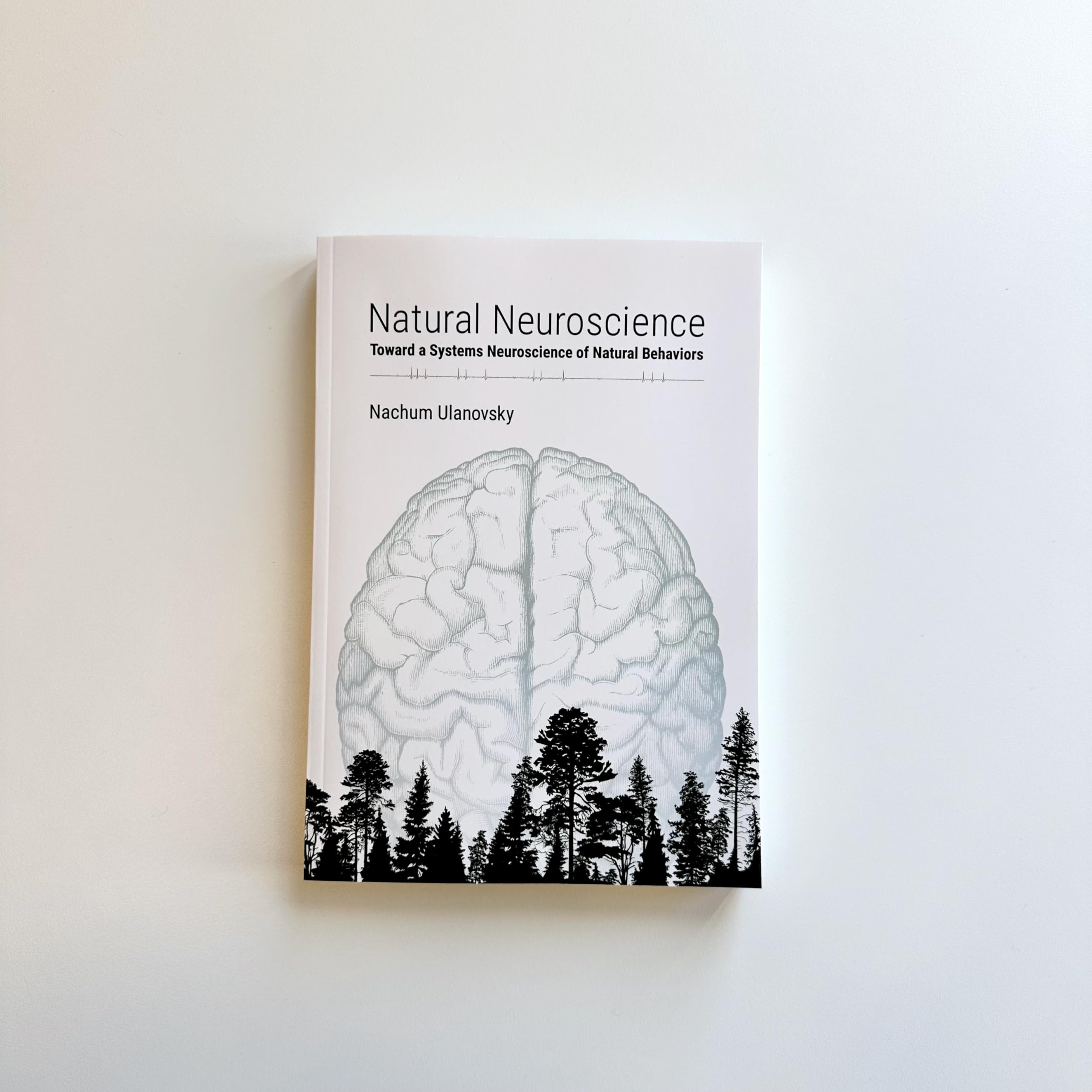 Natural Neuroscience: Toward a Systems Neuroscience of Natural Behaviors