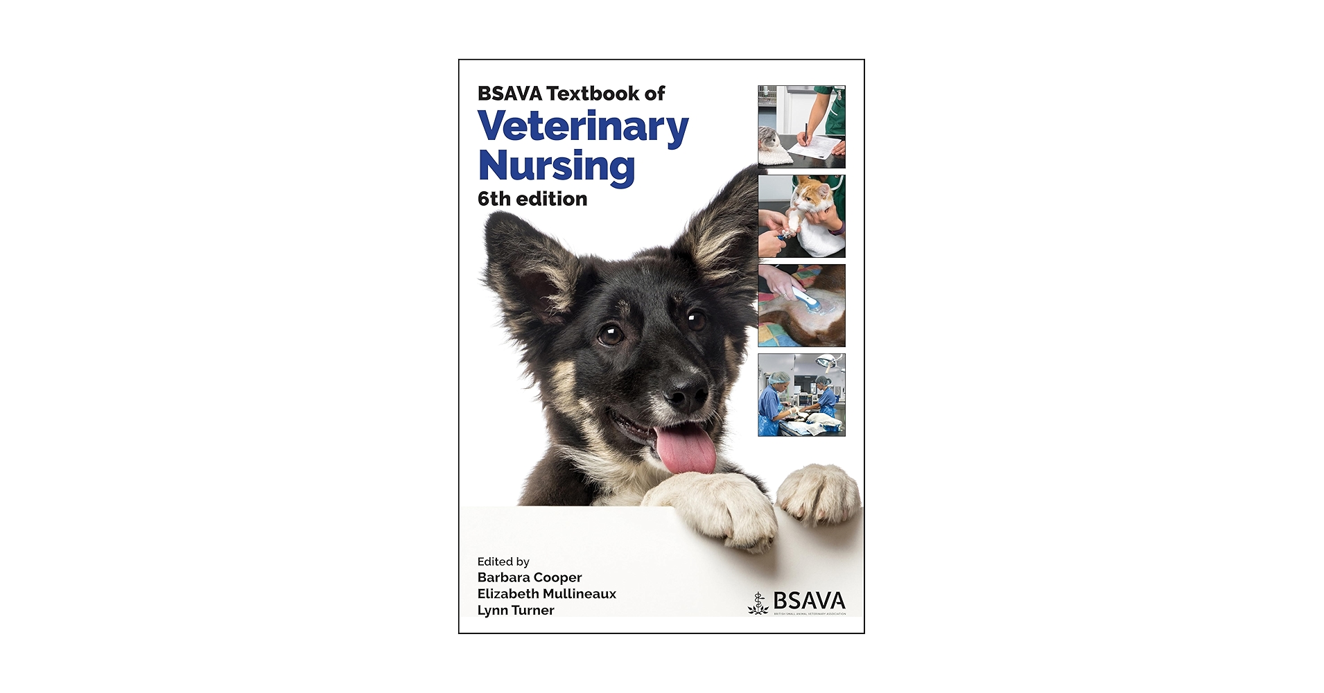 BSAVA Textbook of Veterinary Nursing (BSAVA British Small