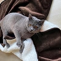 Vista 2 de Manta impermeable para cama, sofá, manta líquida suave a prueba de orina para perro, cachorro, gato, protector reversible de vellón Sherpa