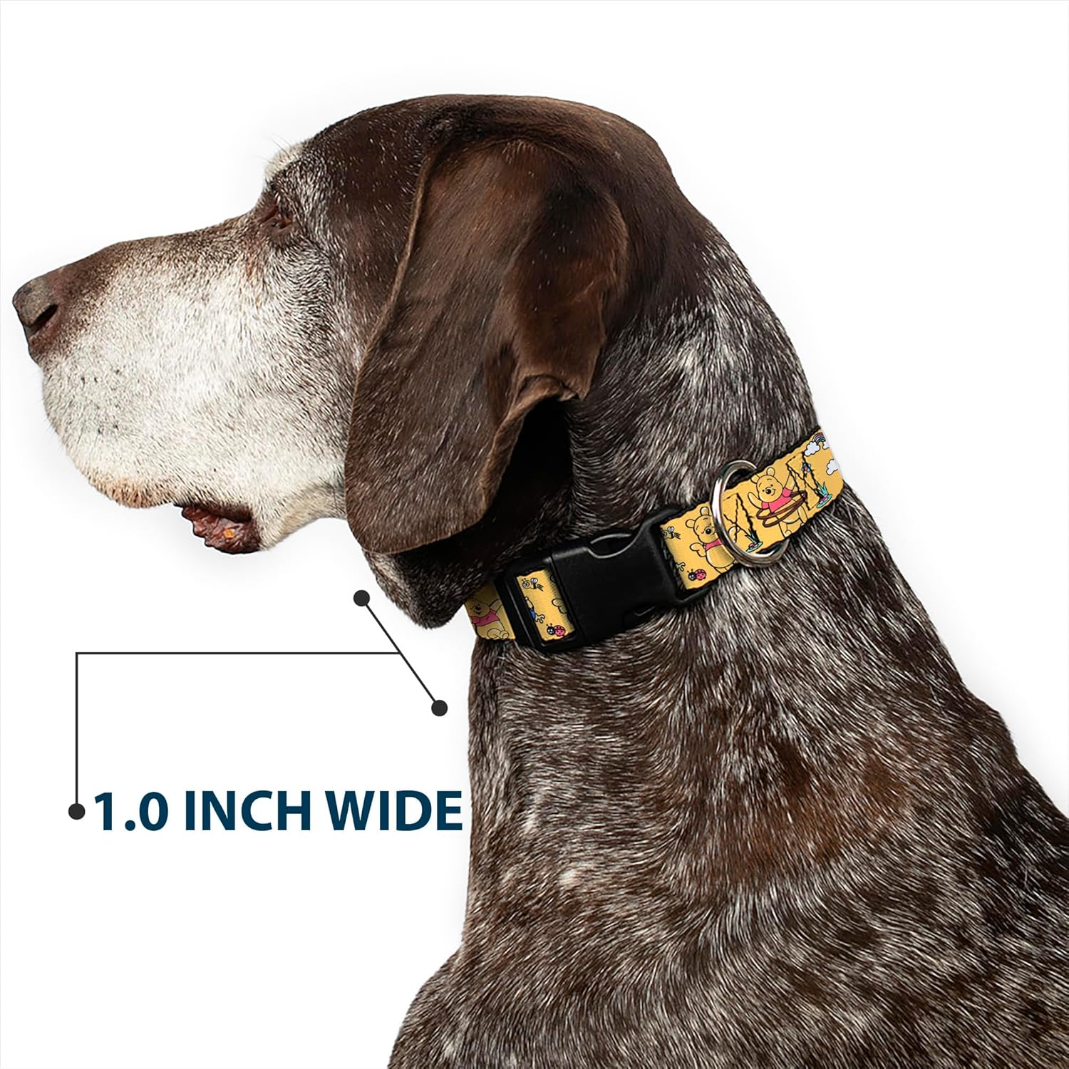 Disney Pet Collar, Dog Collar Plastic Buckle, Winnie The Pooh Happy Poses Golden Yellow, 16 to 23 Inches 1.5 Inch Wide