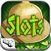 Slots Explorer (Kindle Tablet Edition)