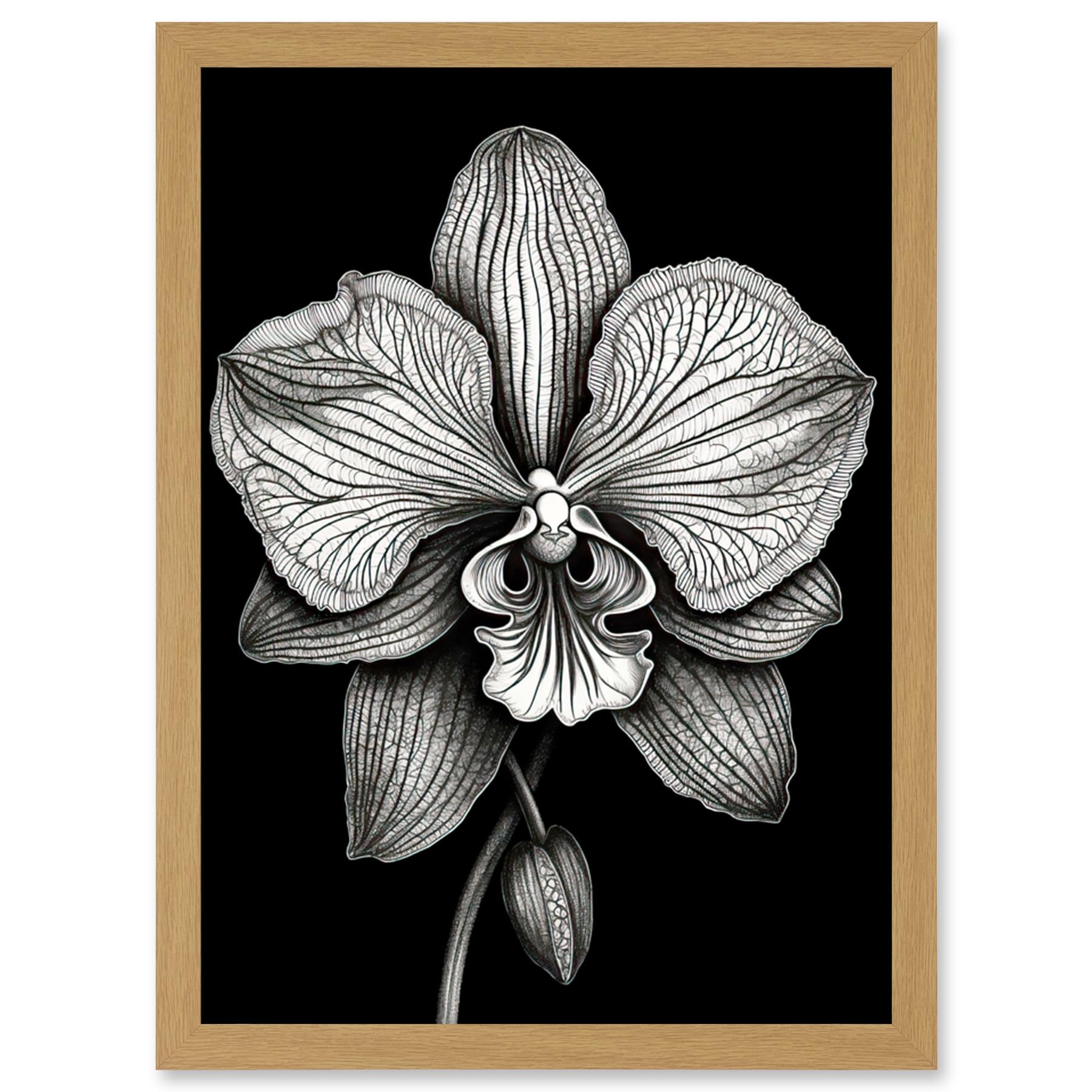 Artery8 Detailed Orchid Flower Petals in Black and White Artwork Framed Wall Art Print A4