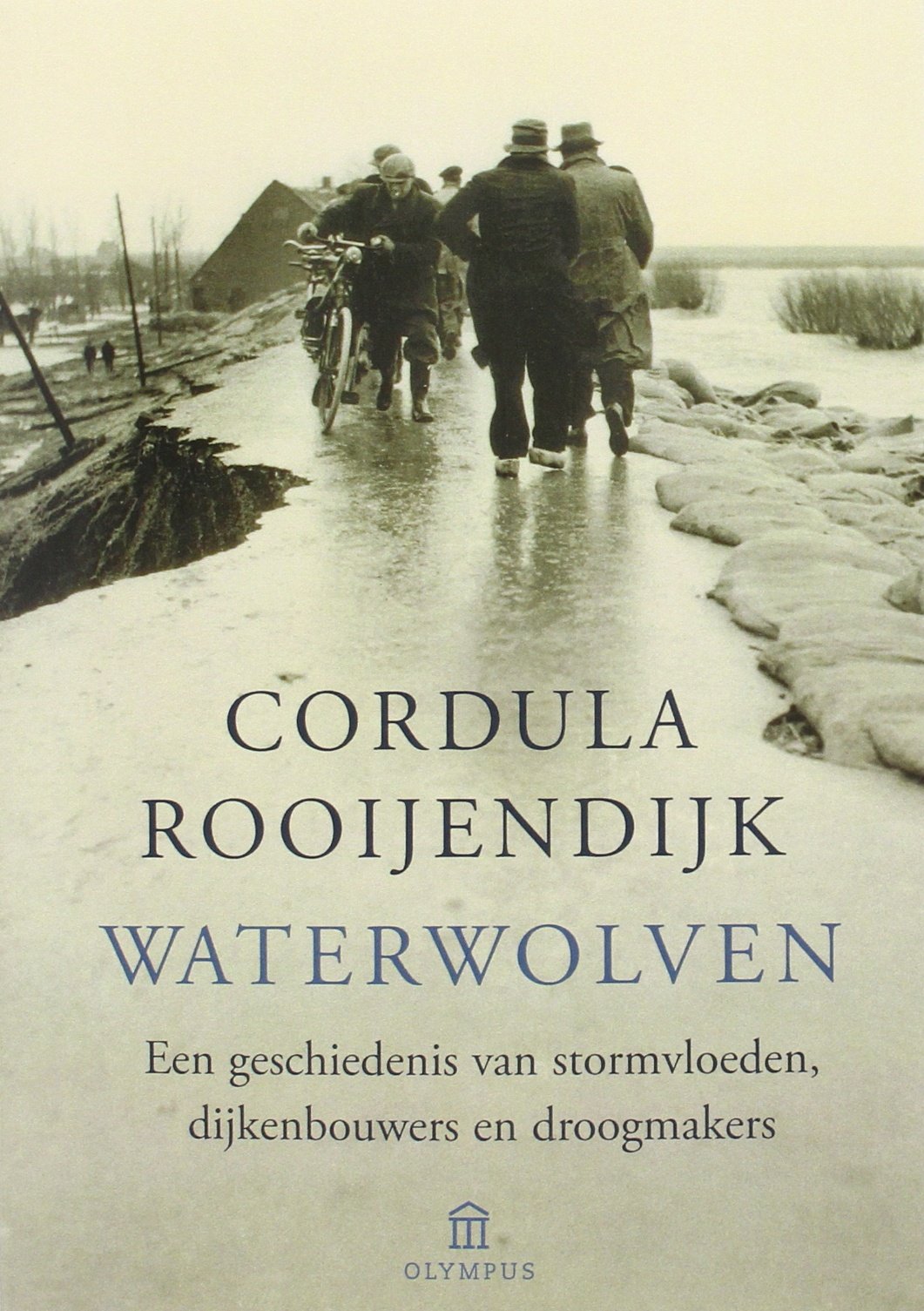 Waterwolven: een geschiedenis van stormvloeden, dijkenbouwers en droogmakers