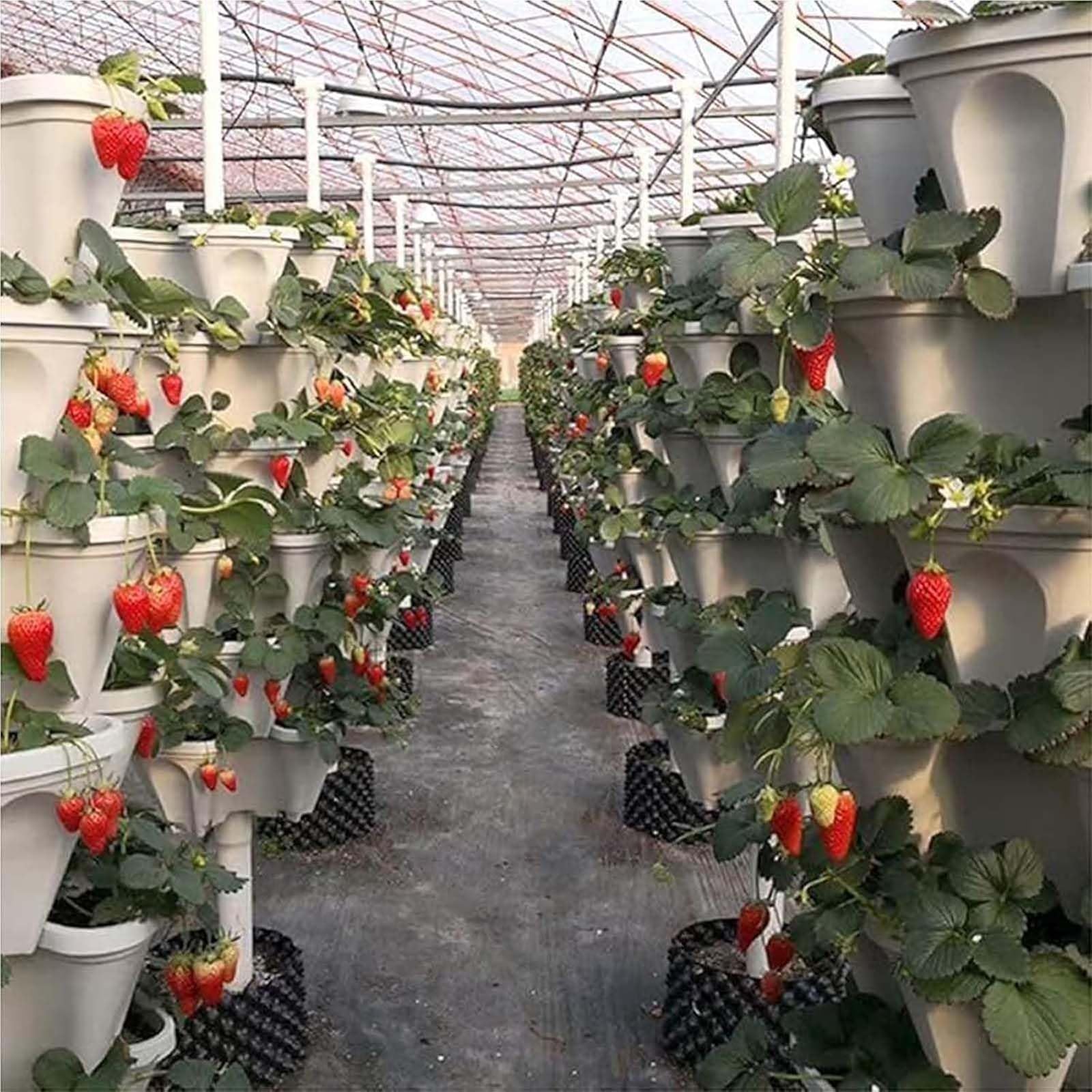 Generico Fragole Verticale da Giardino 6 Ripiani Impilabile Vaso Trifoglio per Fiori Rampicanti Piante Fioriera da Balcone Regolabile Plastica Grande Porta Piante da Esterno ed Interno,B