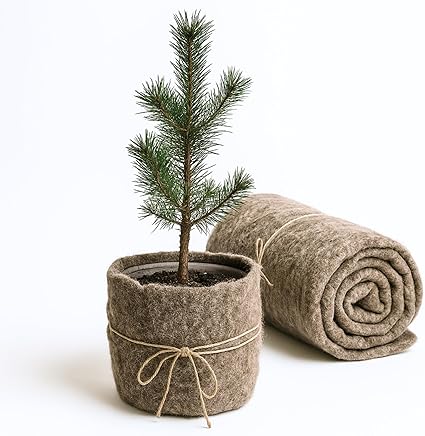 Balkon winterfest machen – so schützt du Pflanzen mit Schafwollmatte, Vlies & Co. Winterschutz aus Schafwolle für Pflanzen