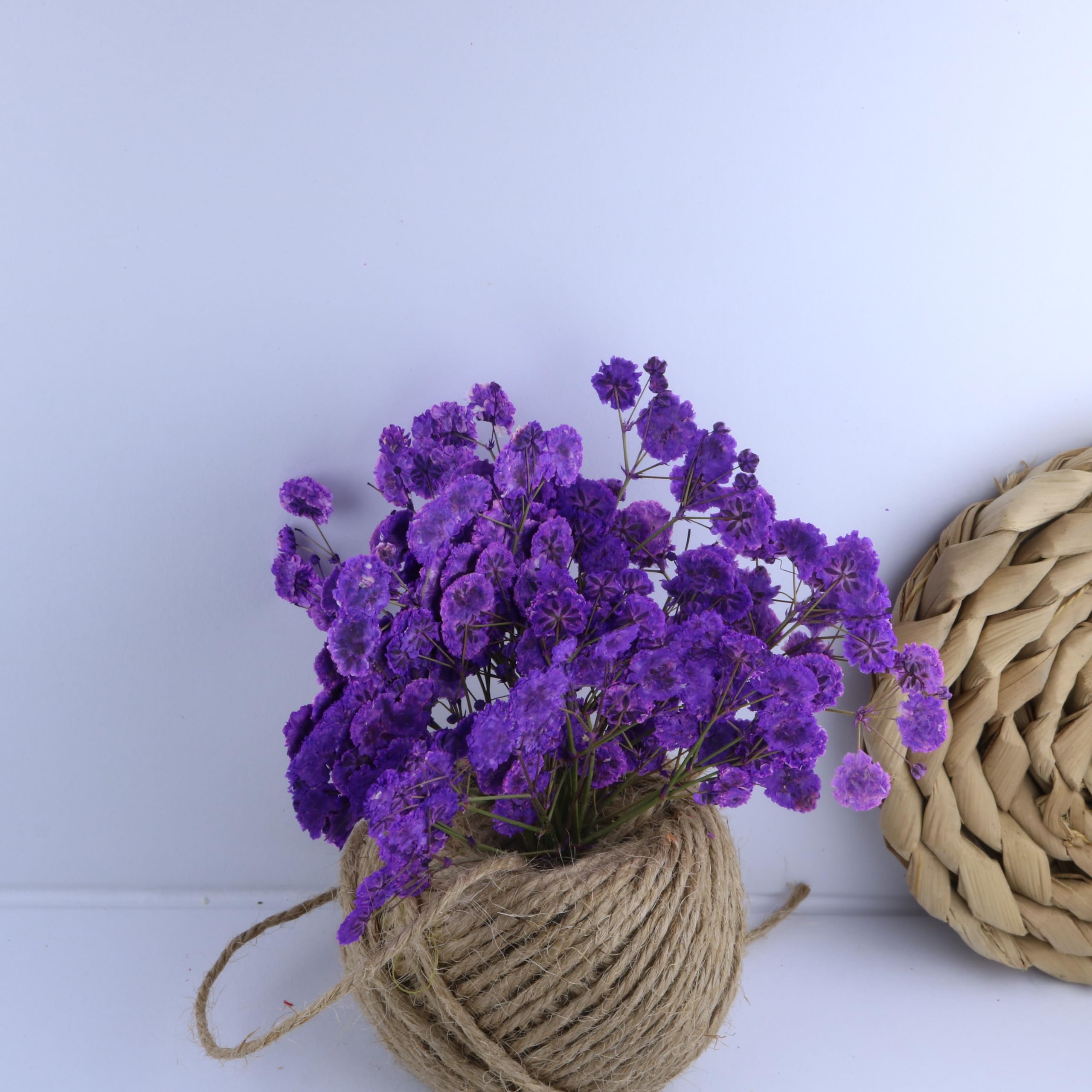 50 Zweige Lila gepresste Blumen Bulk Getrocknete Blumen Kit für Harz Getrocknete Babys Atem Blume Natürlich mit Pinzette für Handwerk Weihnachten DIY Geschenk Scrapbooking Foto Requisiten
