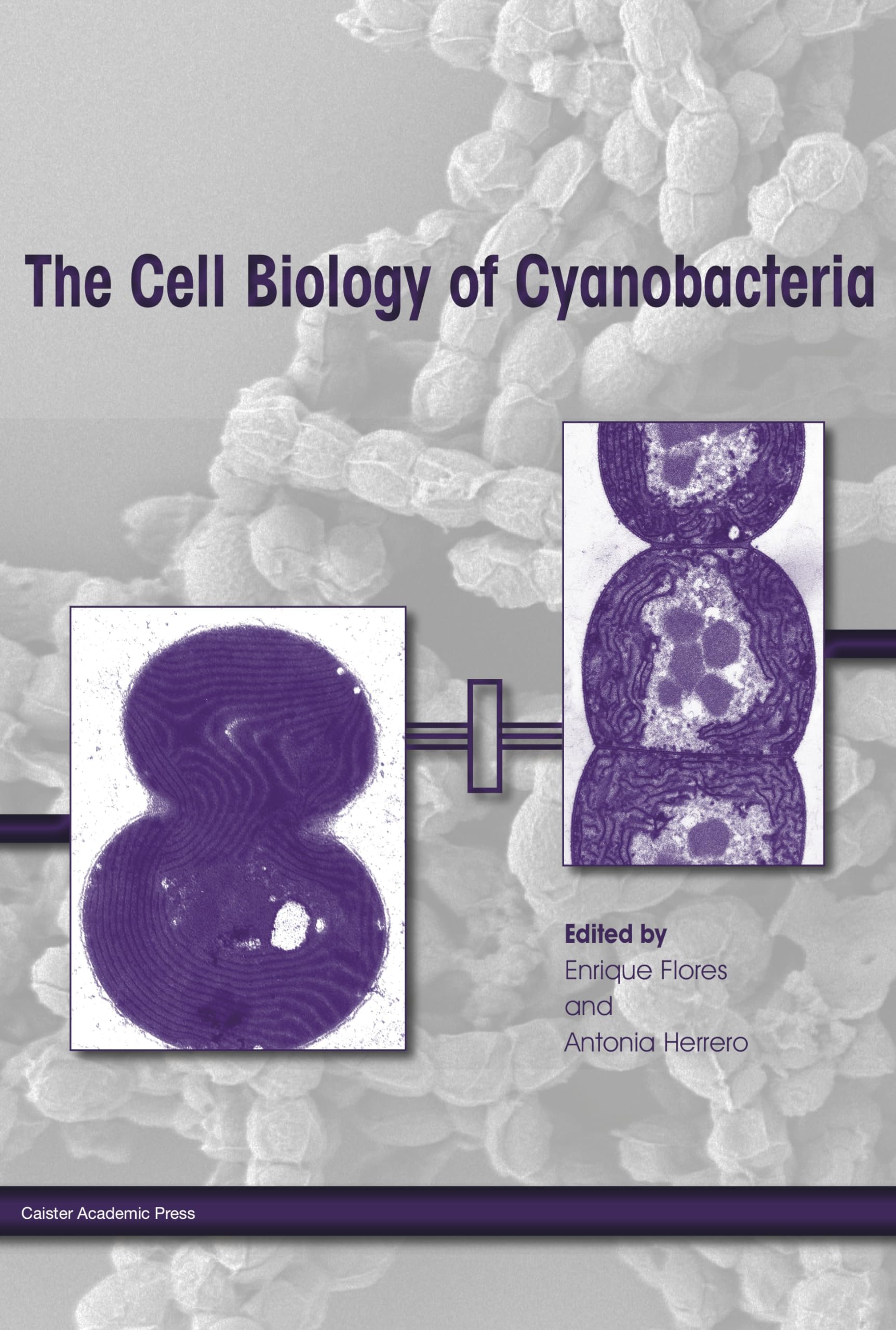 Buy The Cell Biology of Cyanobacteria — BookShops.in