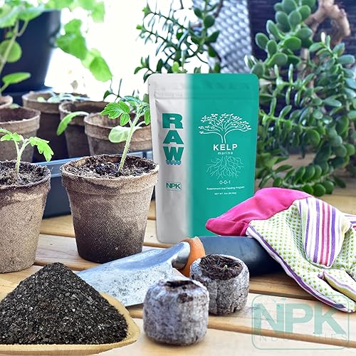 Miniatura 4 de RAW Kelp 8oz  Bioestimulante que es rico en hormonas vegetales orgánicas para un mayor crecimiento, uso hidropónico en interiores, exteriores