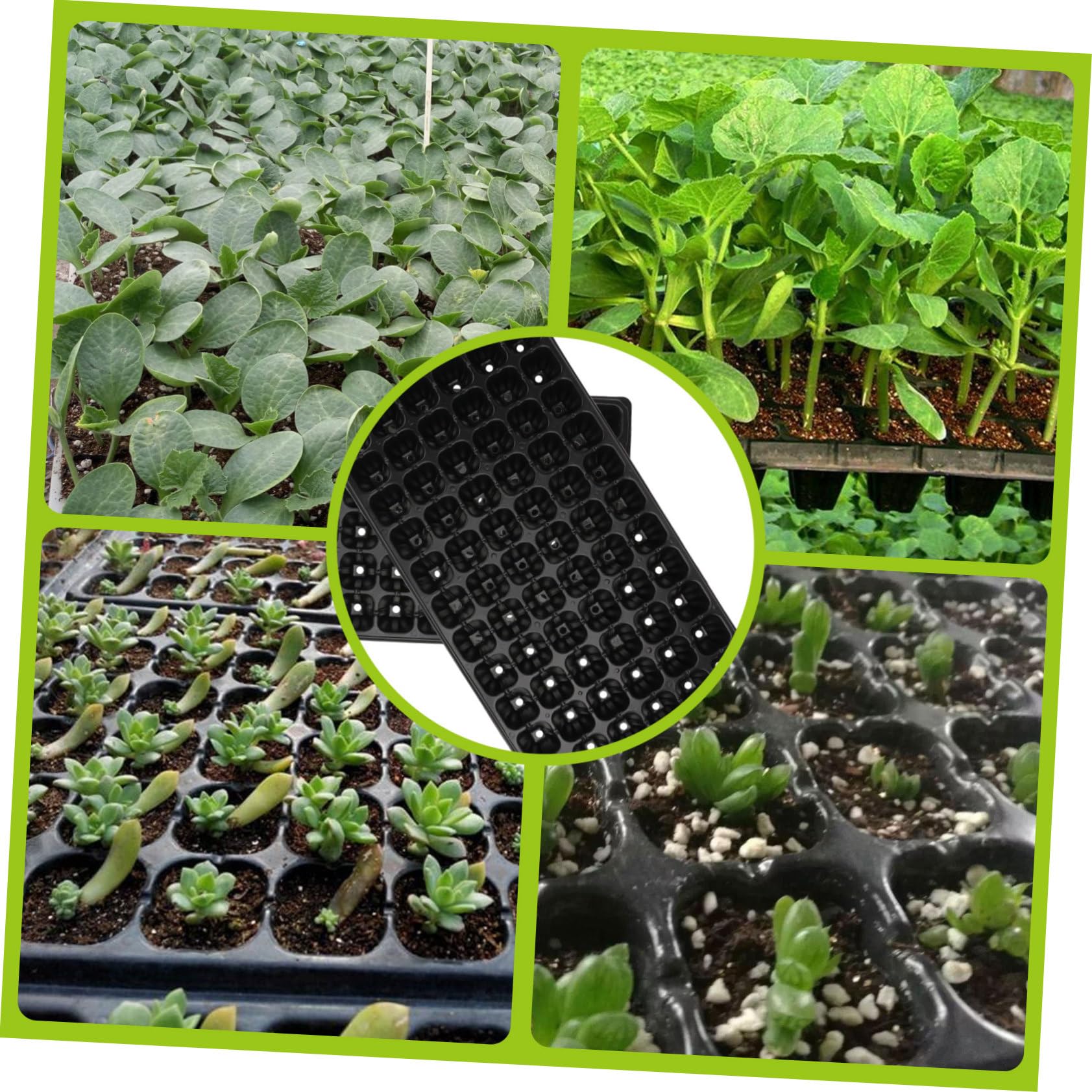 Vassoio per Coltivazione 72 Fori in PVC, 10 Pezzi per Orto e Giardino | Nero, Struttura Porosa a Griglia, Design Ventilato, per Semina di Piantine in Agricoltura e Giardinaggio