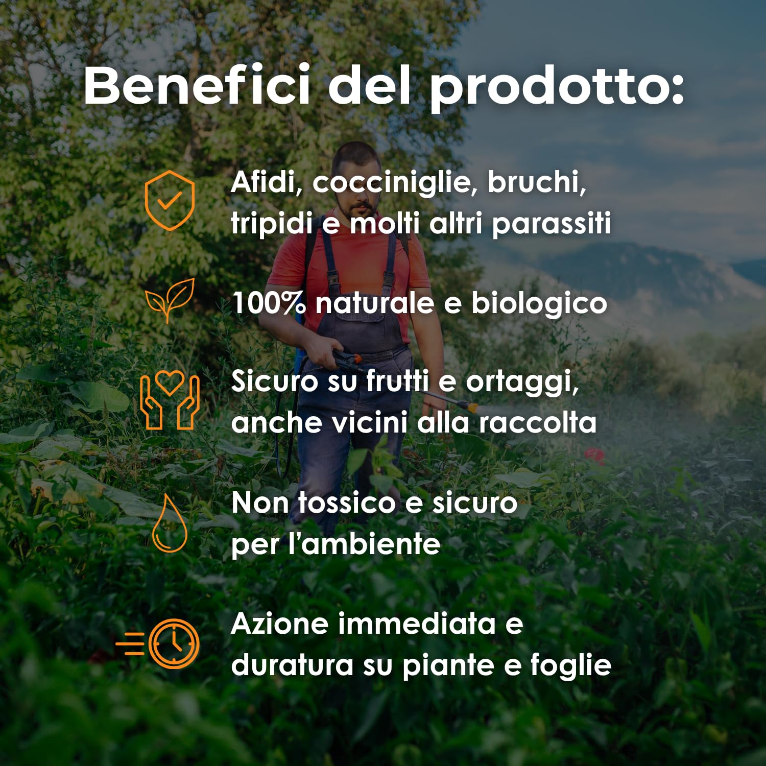 SENAPE-PLUS® Olio di Senape Potente per Insetti Parassiti | Afidi, Cocciniglie, Bruchi, Acari, Tignole, Tripidi, Larve | COLTIVAZIONE BIOLOGICA DI ALTA QUALITÀ | 250 gr