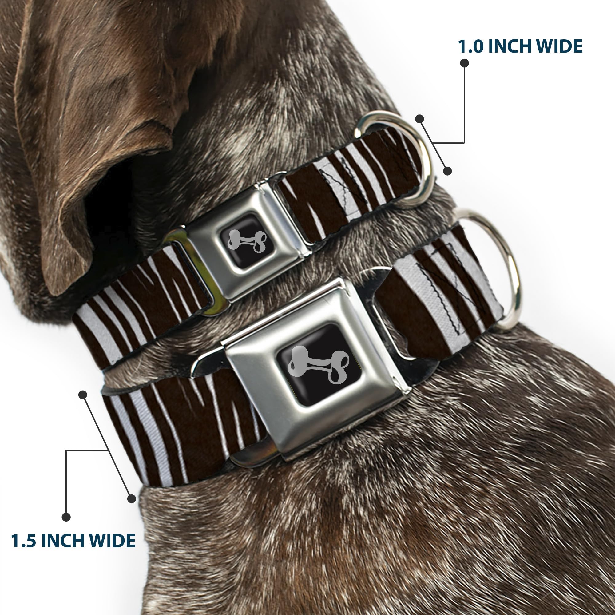 Buckle-Down Obroża dla psa z klamrą pasa bezpieczeństwa - zebra - szerokość 3,8 cm - pasuje na szyję 33-45 cm - S
