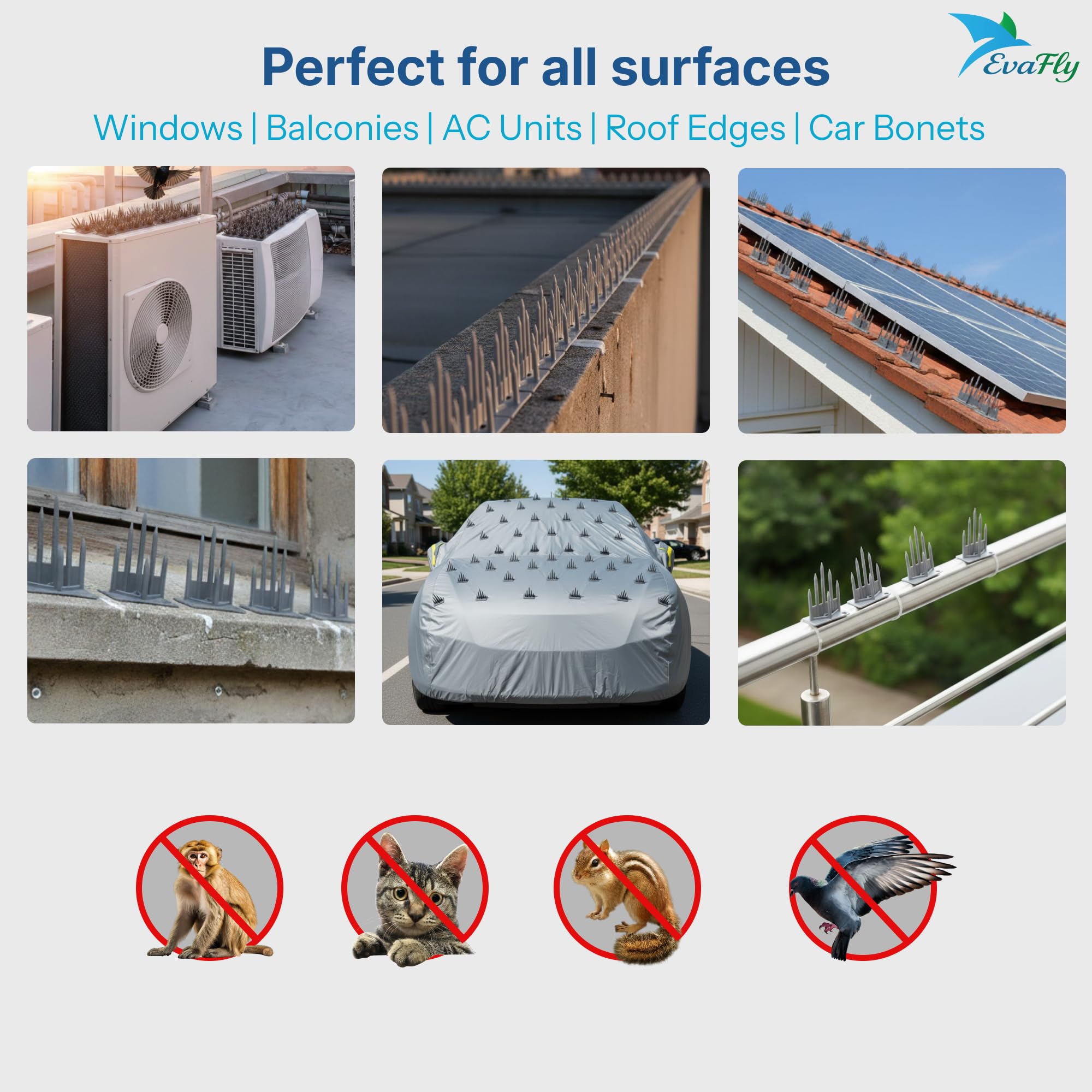Evafly Bird Spikes - Pigeon Deterrent -4