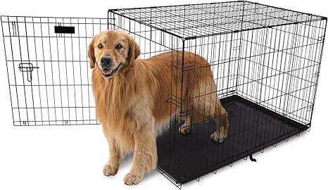 pet training crate