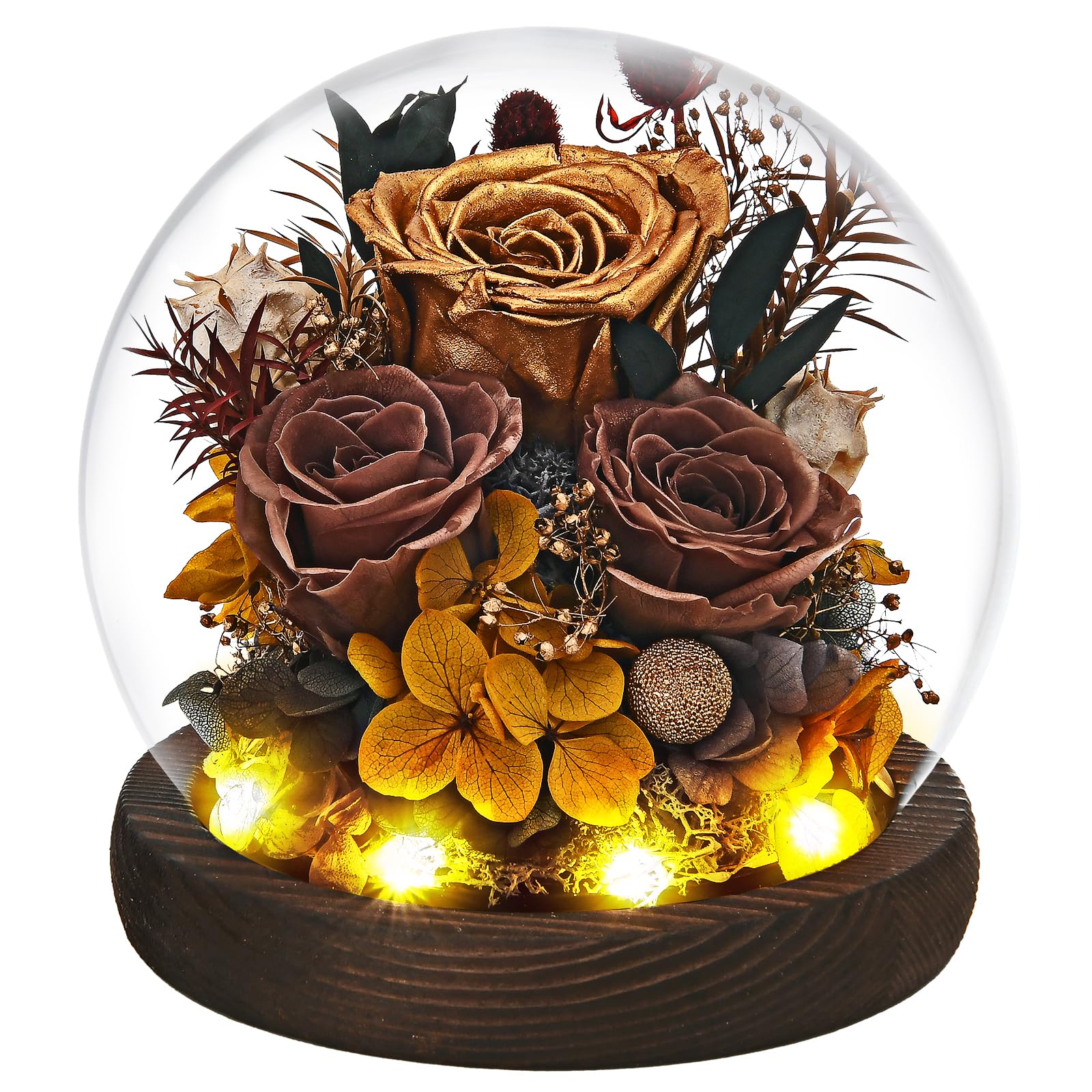 FRYMSHE Regali per donne, mogli, mamme, nonne, fiori conservati per San Valentino, festa della mamma, anniversario, matrimonio, Natale, Ringraziamento, regali per amici, sorella, fidanzata, con luce