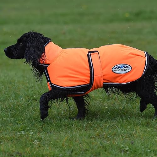 Vista 2 de Anorak Weatherbeeta Comfitec reflectante 300D, abrigo para perro Deluxe Lite
