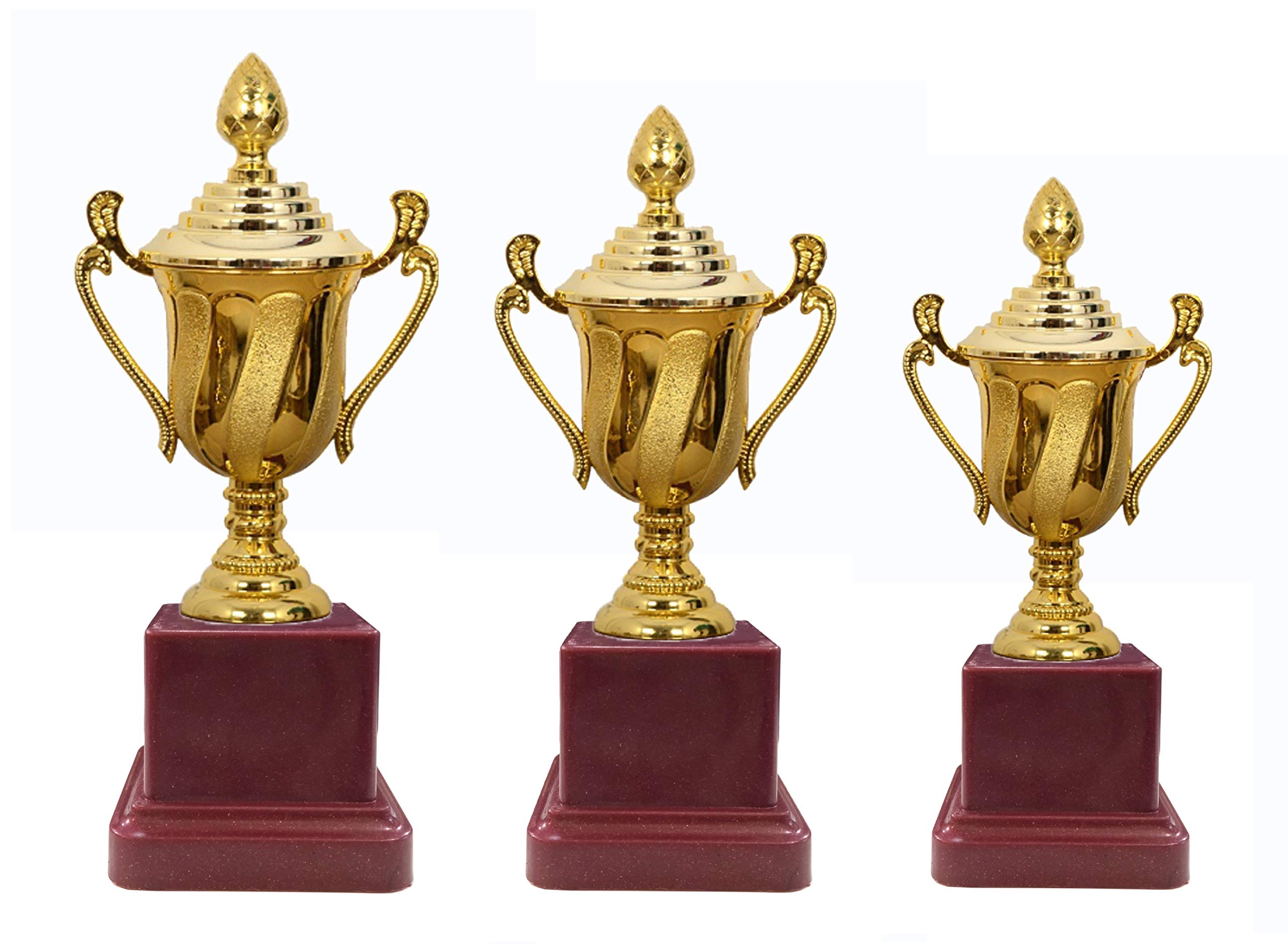 Be Win Winner Golden Fiber Trophy for Winner, Event Trophy (B08VGDZ7CN) Amazon Price History, Amazon Price Tracker