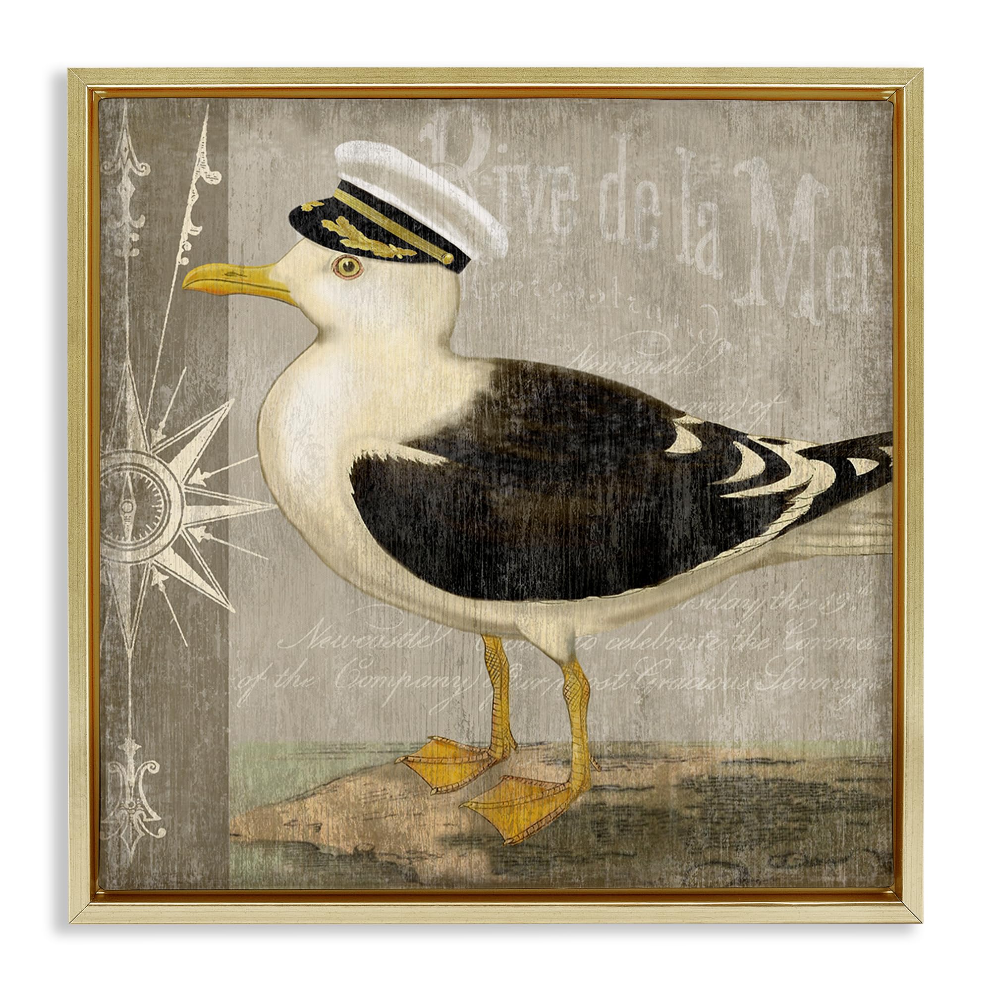 Stupell Industries Vintage Nautical Seagull Compass 'Little Maritime Seagull', Floating Frame Canvas Art, Gold, 18 X 18 Inches, Easy To Hang And Sturdy, Made In Usa, By Suzanne Nicoll