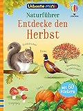 Usborne Minis – Naturführer: Entdecke den Herbst: klein, aber oho – Tiere und Pflanzen im Herbst – mit 60 Stickern – für Kinder ab 6 Jahren (Usborne-Minis-Reihe)