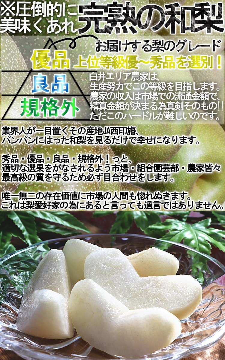 Amazon.co.jp: 千葉梨 梨 約5kg 幸水 秀品～優品 贈答規格 出荷量全国