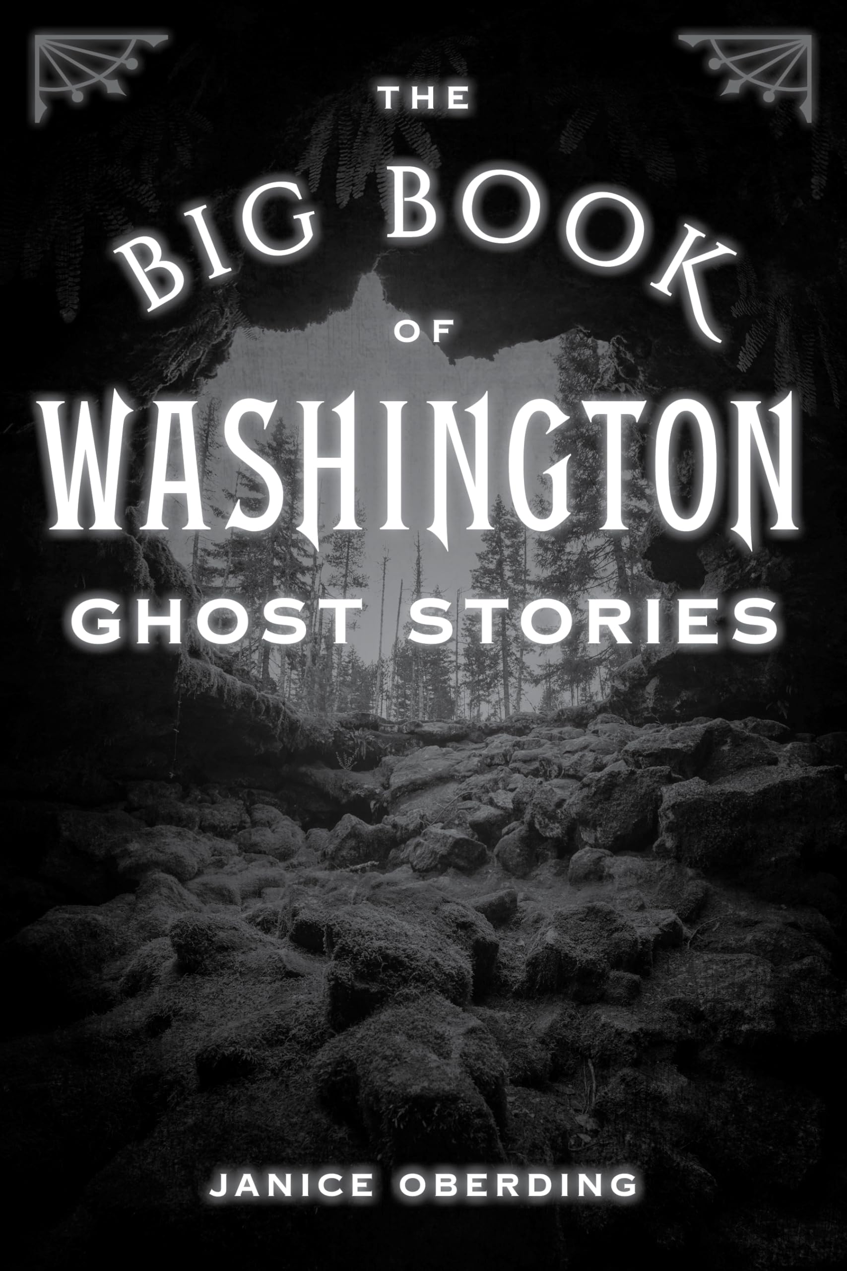 The Big Book of Washington Ghost Stories (Big Book of Ghost Stories)