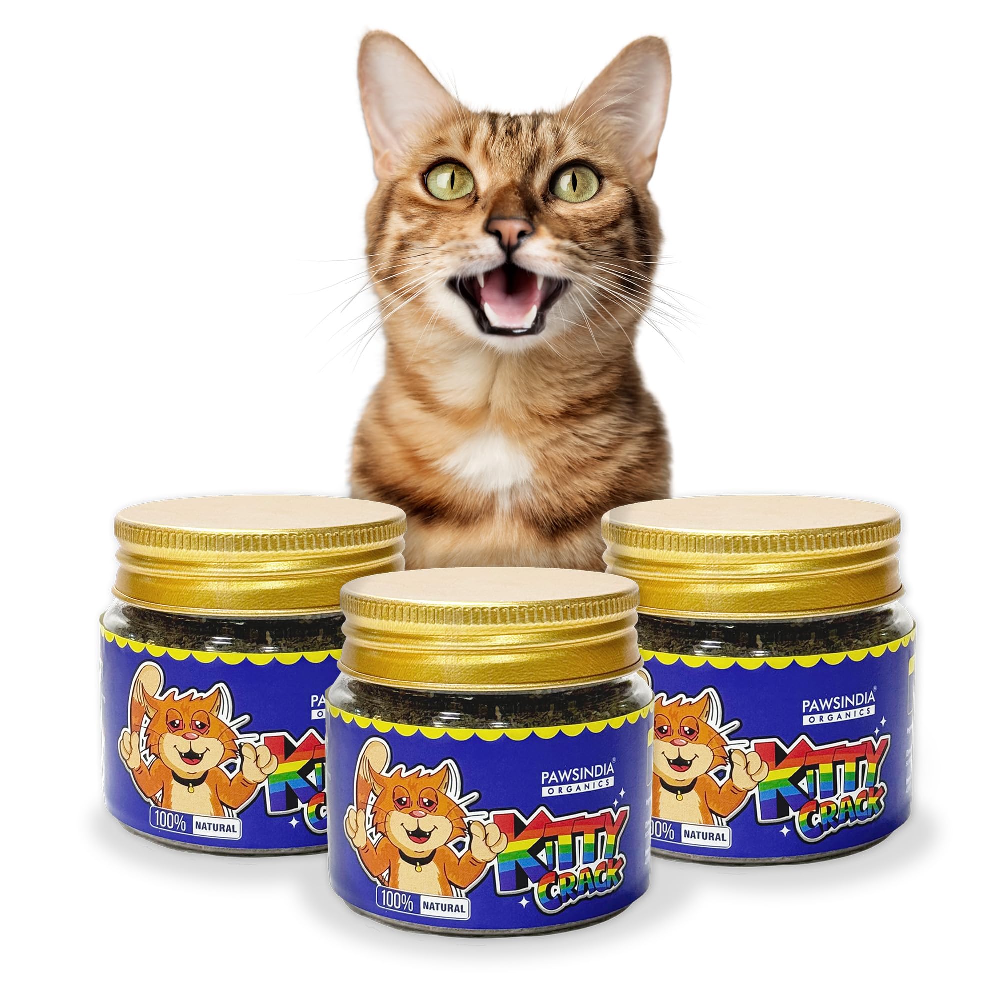 See full amazon price history chart for Pawsindia Organics Catnip for Cats & Kitten | 25g | All-Natural Cat Attractant and Playtime Enhancer | Reduce Anxiety | Promote Relaxation Pawsindia Organics Catnip for Cats & Kitten | 25g | All-Natural Cat Attractant and Playtime Enhancer | Reduce Anxiety | Promote Relaxation (B0DDH6BKFN) Amazon Price History, Amazon Price Tracker
