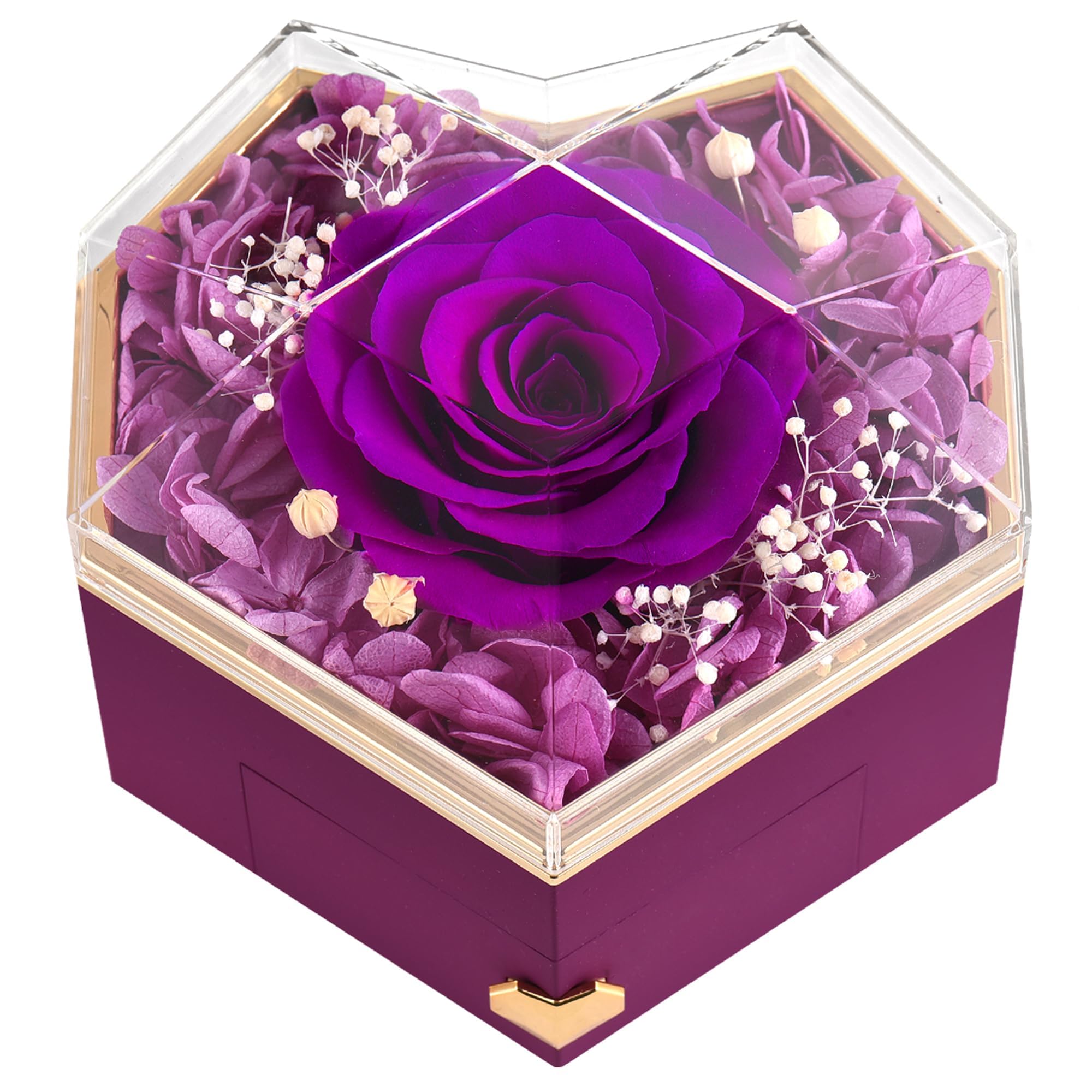 Amazon.com: GOICC Forever Preserved Rose for Women Mum Wife
