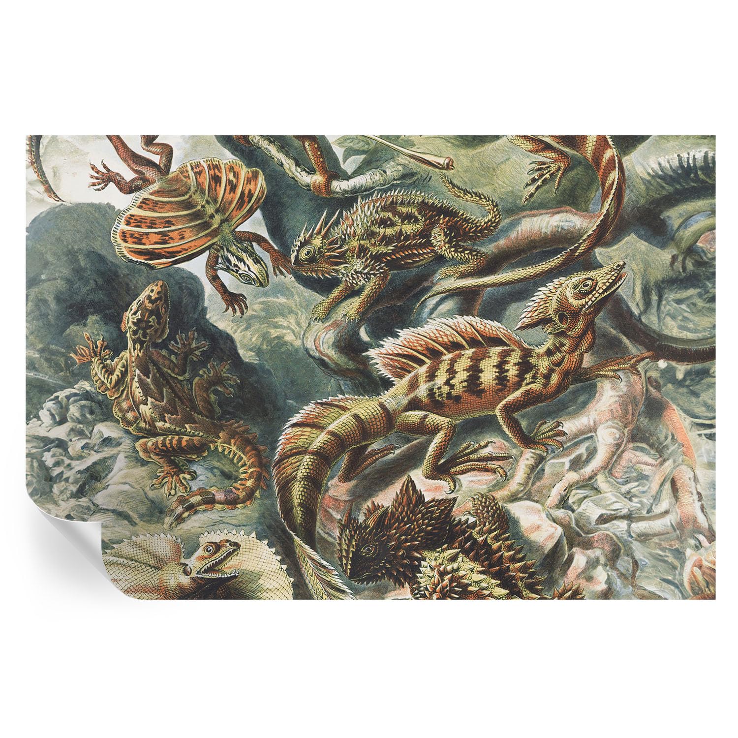Decoración de pared de salón con vinilos y murales de reptiles exóticos
