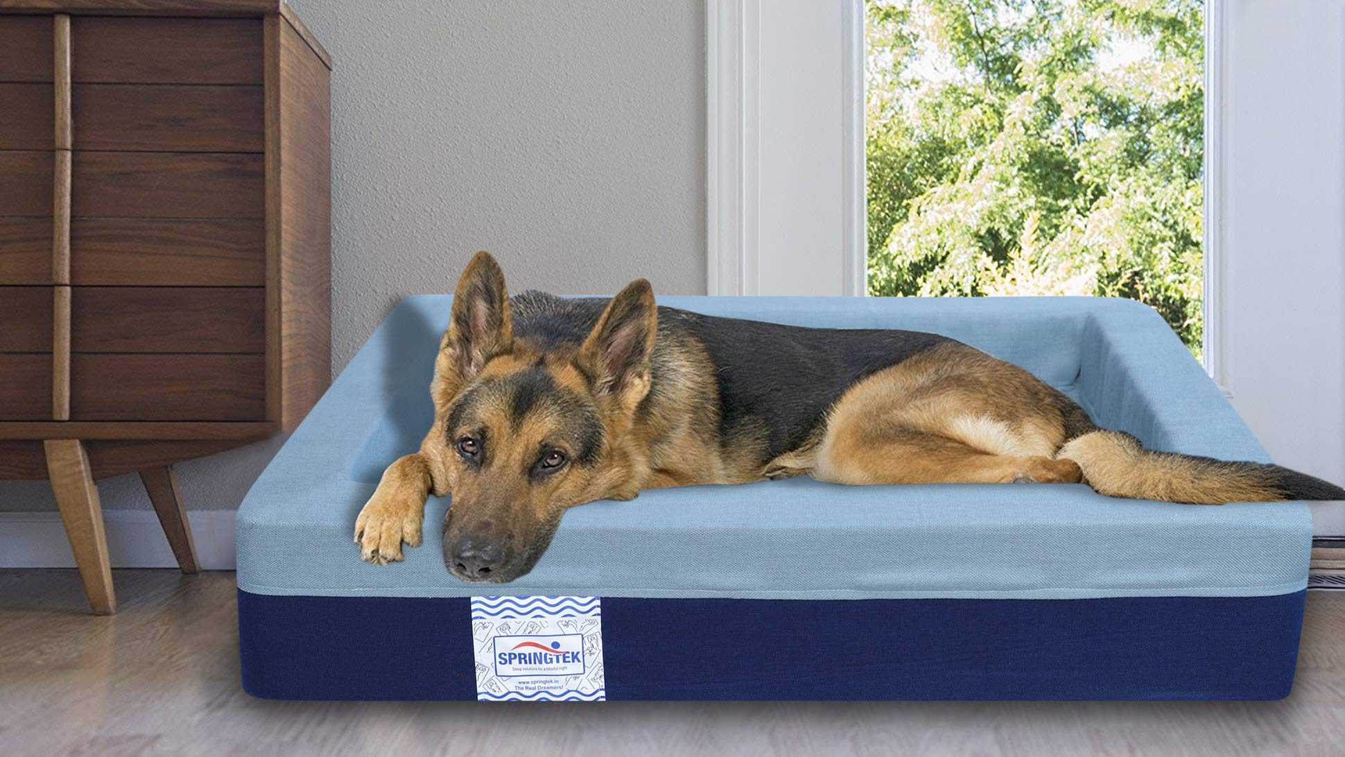 See full amazon price history chart for Springtek Nylon Dog/Pet Bed for Medium Sized Pets, Multi Springtek Nylon Dog/Pet Bed for Medium Sized Pets, Multi (B084YY2F7B) Amazon Price History, Amazon Price Tracker