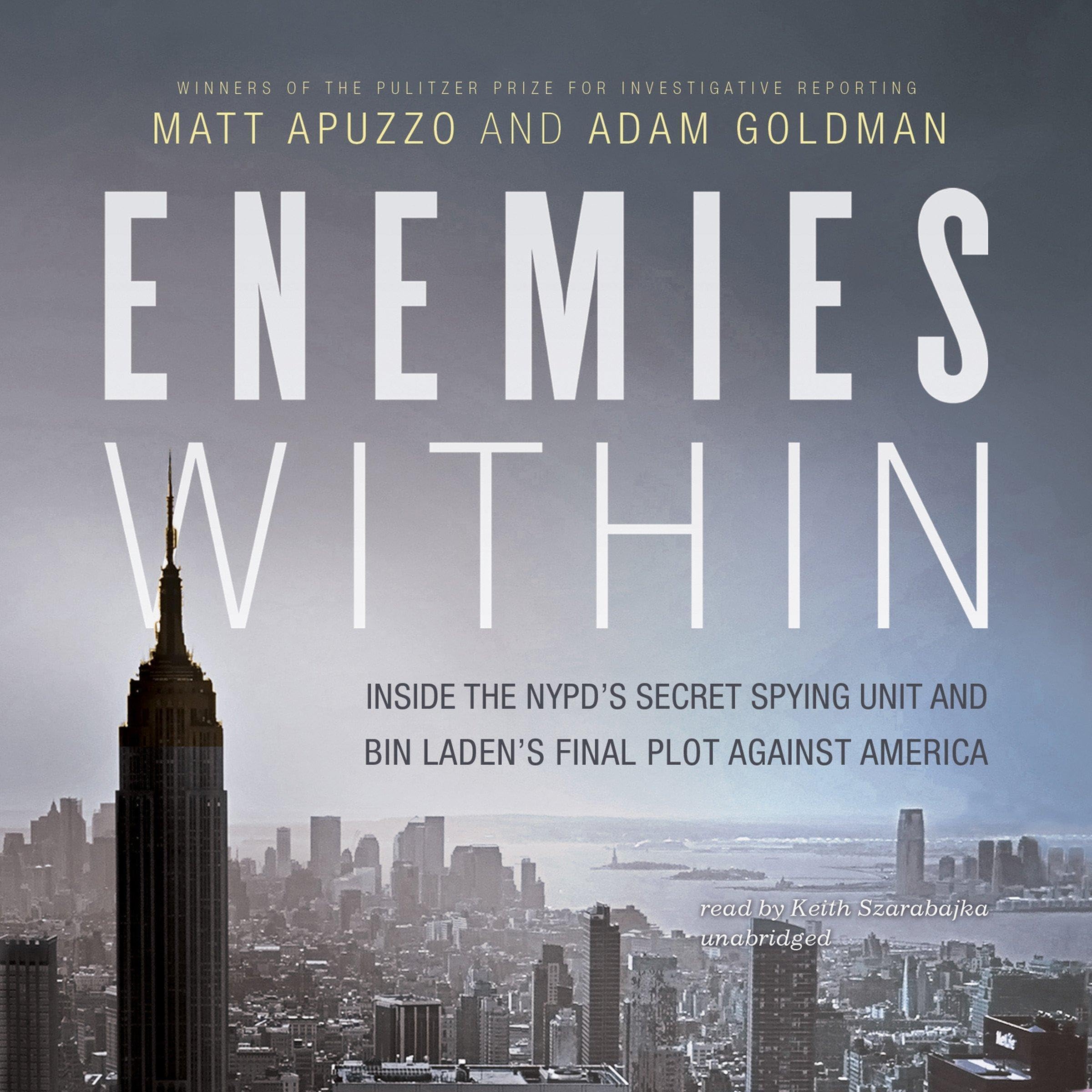 Cover art for Enemies Within