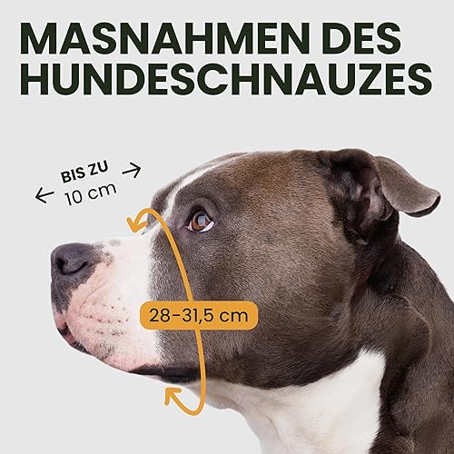 Miniatura 2 de BRONZEDOG Pitbull - Bozal para perro, máscara de metal, cesta de alambre Amstaff, correas de cuero ajustables para perros grandes (negro)