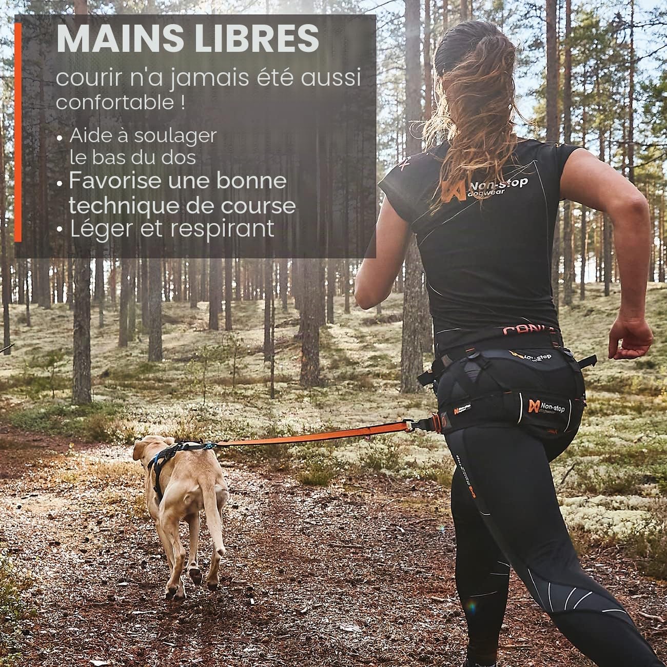 CaniX Belt Parent