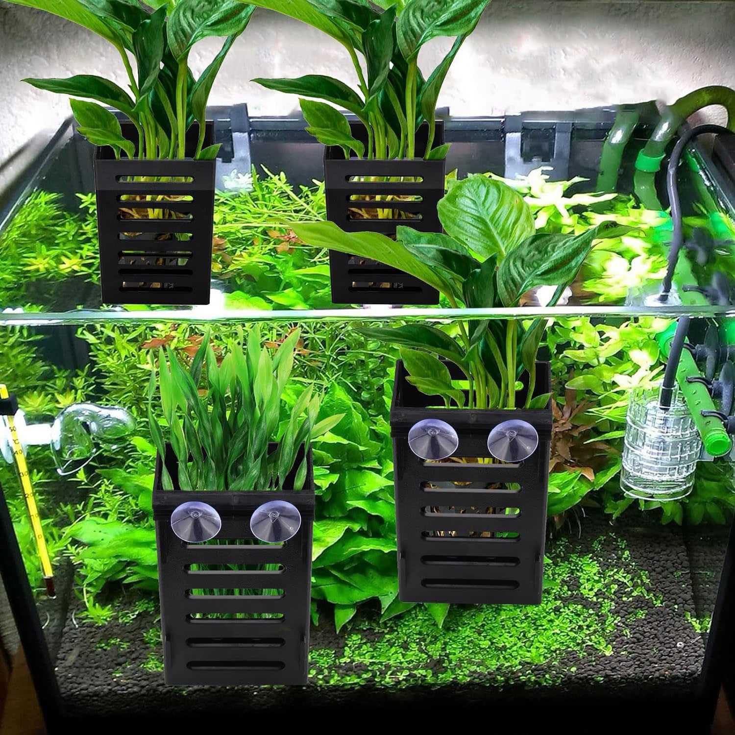 Aquarium Pflanzenhalter Mit Haken & Saugnäpfen – 2 Set, Weiß, Für Hängepflanzen, 7,7x5,2x12,5 Cm