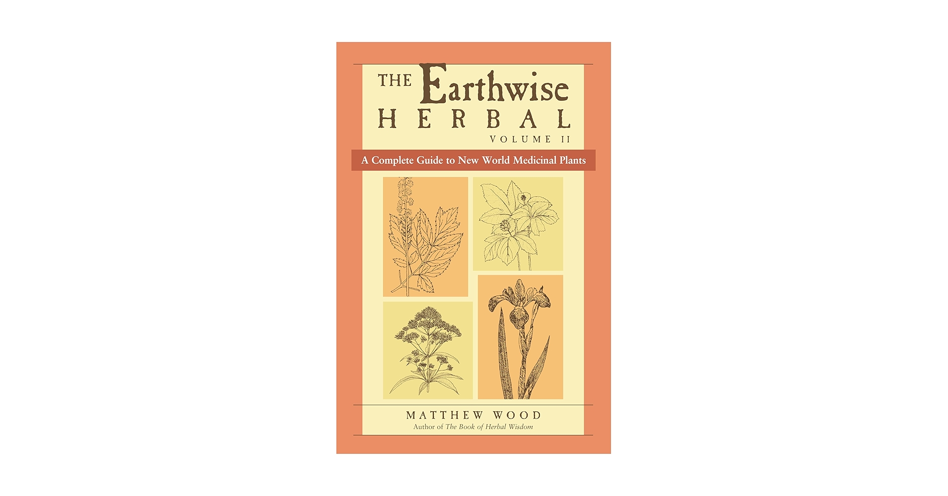 81sidc4YY1L.jpg_BO30,255,255,