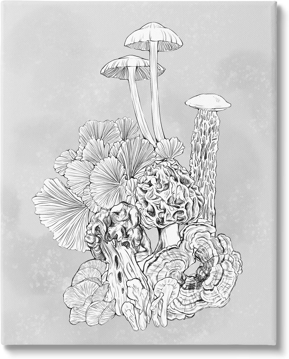 Stupell Industries Detailed Botanical Drawing Mushroom Proliferate Plant Study, Design by Ziwei Li