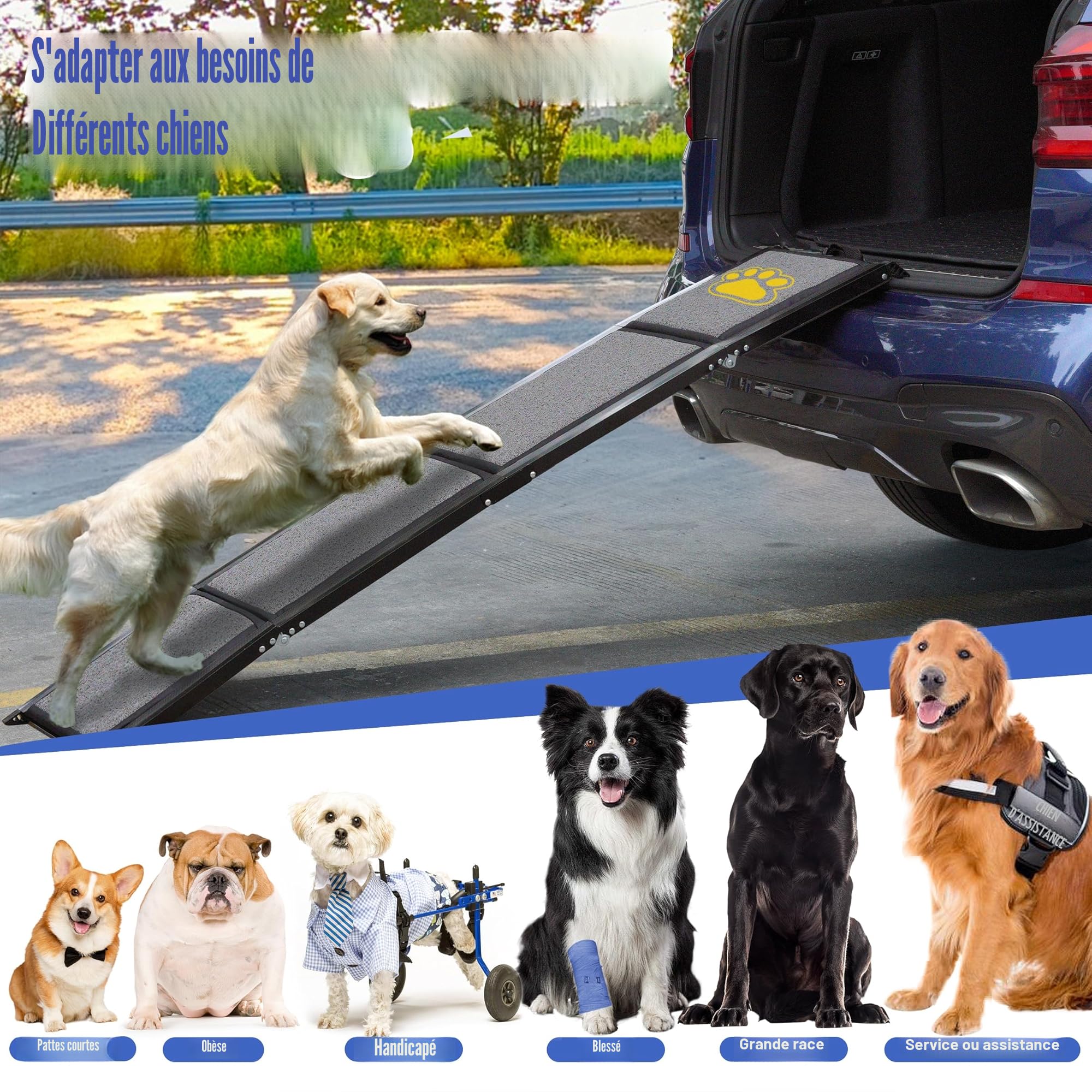 BACOENG 180cm Rampe pour Chien Voiture Pliable, Rampe Portable pour Chiens de Grande Taille avec Surface Antidérapante, Disponible pour Voitures, Camions et SUV, Supporter Un Poids De 110 KG