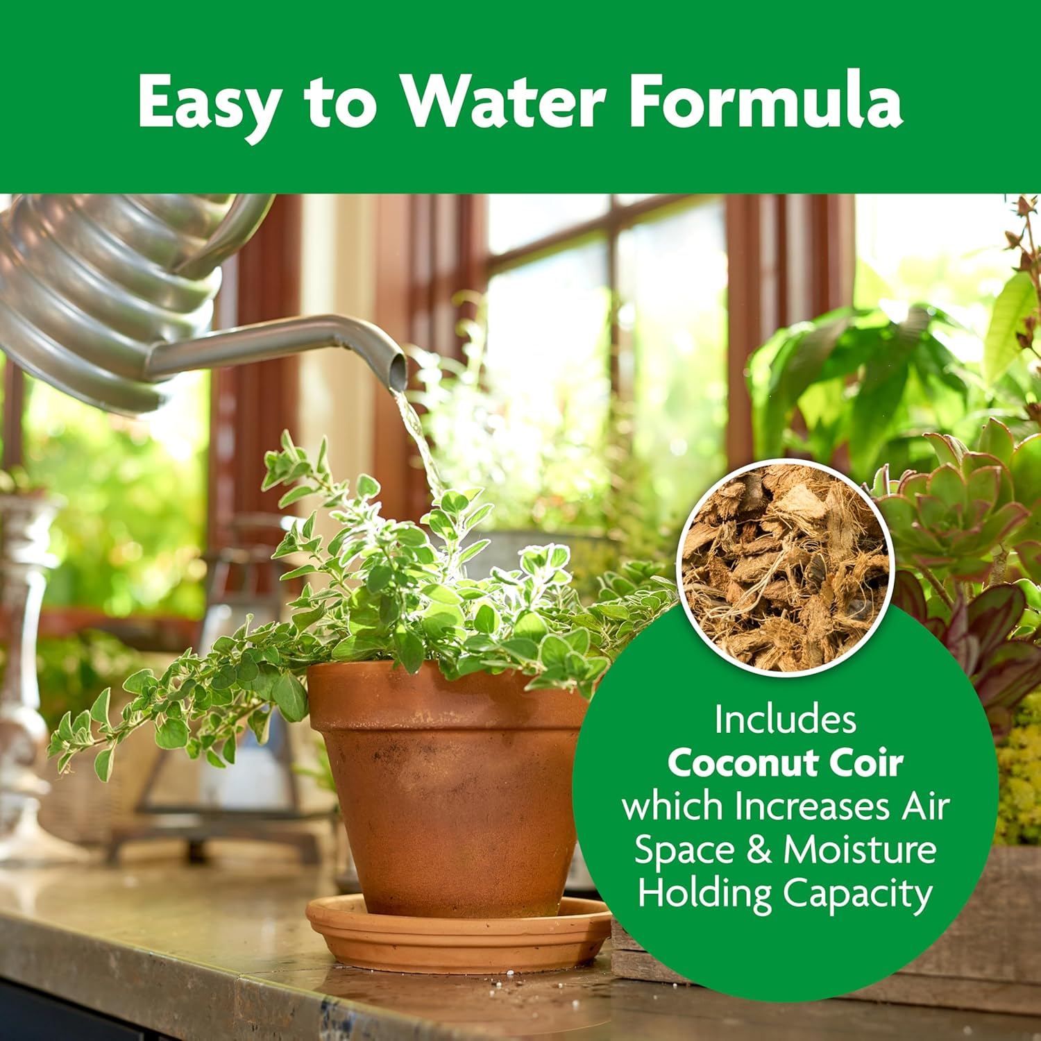 Miracle-Gro Indoor Potting Mix, Blended for a Variety of Houseplants, Feeds for up to 6 Months, 6 qt., 2-Pack - Image 7