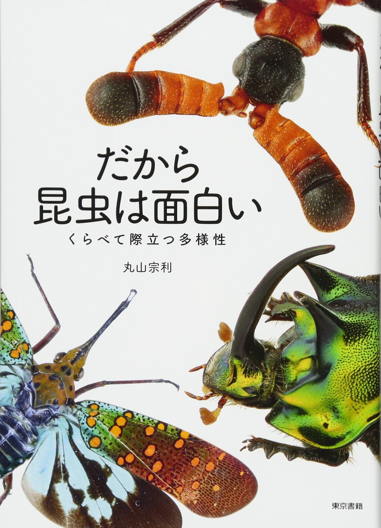 原画　「拝啓、幸せの丸い虫さんへ」 島成園 / 虫の聲 | 壁紙ギャラリー KAGIROHI