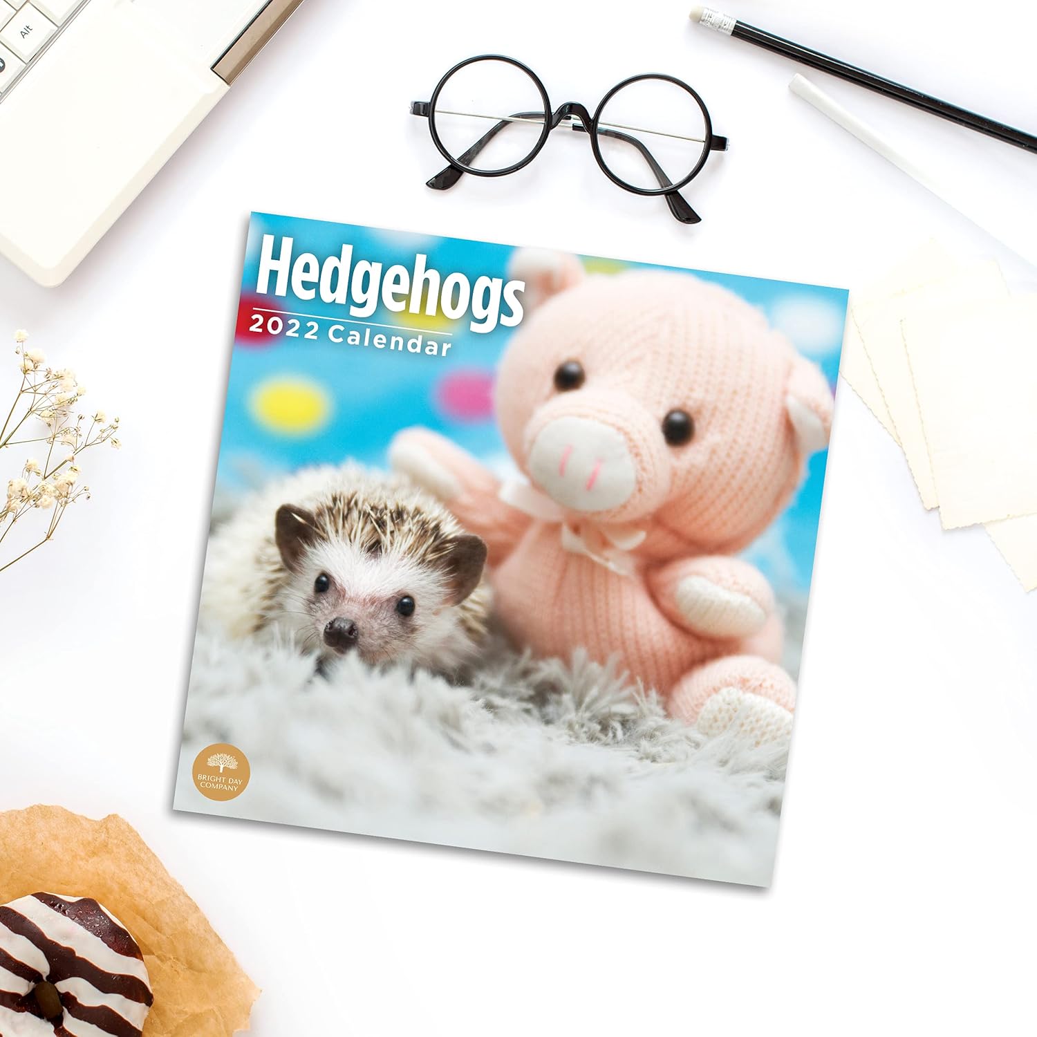 Hedgehog Calendar 2022 Amazon
