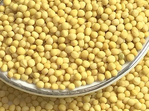 Miniatura 5 de Semilla de mostaza amarilla orgánica, Sinapis alba, sin rellenos, sin aditivos, calidad premium (2)