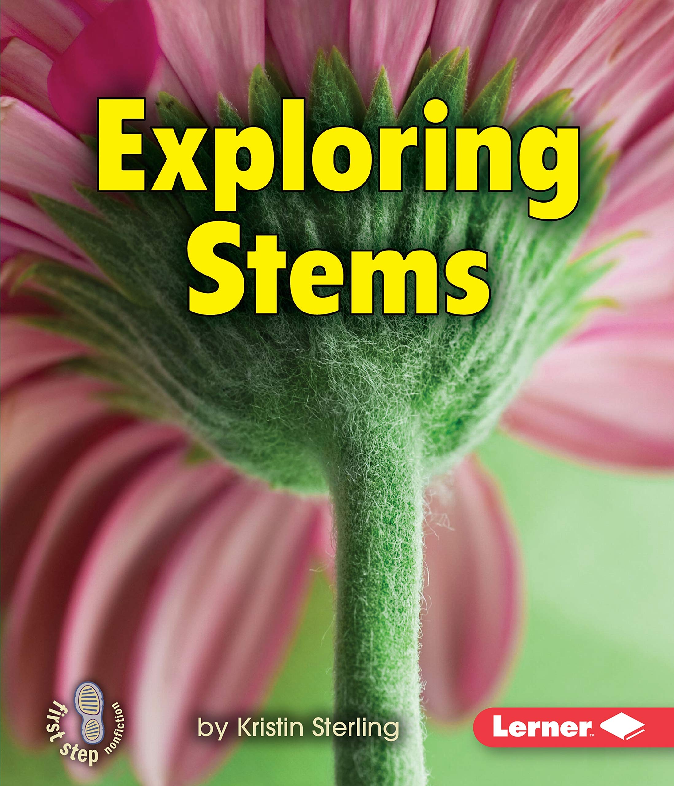 Exploring Stems (First Step Nonfiction -- Let's Look at Plants)