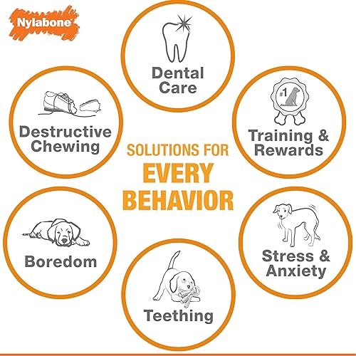 Vista 25 de Nylabone Material sensorial calmante para cachorros, juguete masticable, juguetes para cachorros de dentición, sabor a mantequilla de maní, pequeño