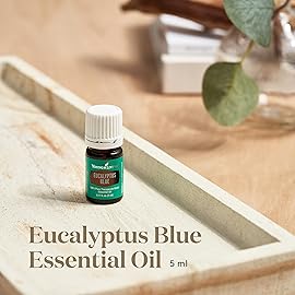 Young Living Eucalyptus Blue Essential Oil | 5 ml | Pure, Invigorating Botanical Extract | Crisp, Refreshing Aroma for Diffusers, Wellness, Comfort, and Soothing Aromatherapy Experience