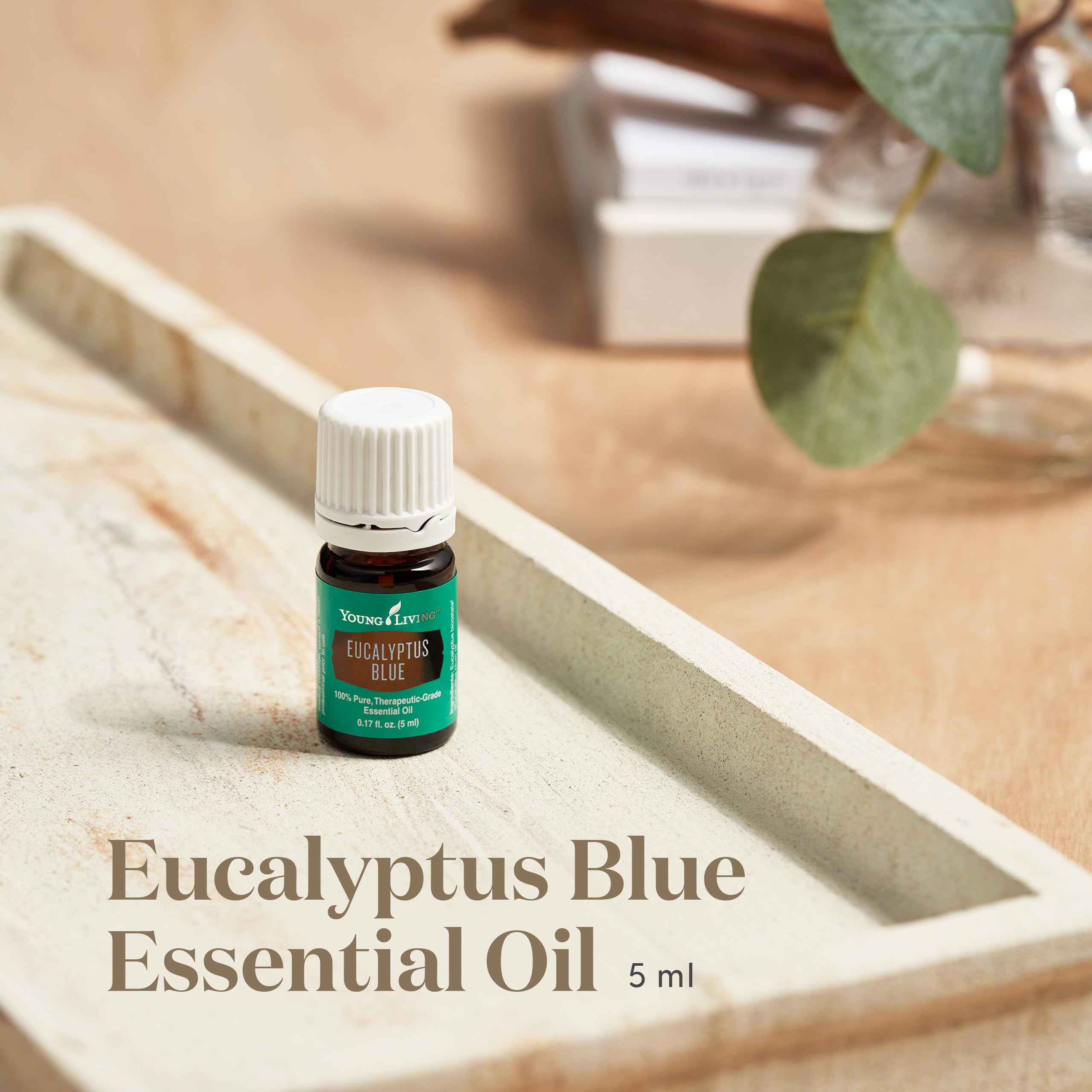 Amazon.com: Young Living Eucalyptus Blue Essential Oil | 5 ml